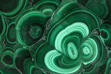 Flowery Polished Malachite Slab - DR Congo #360533-1